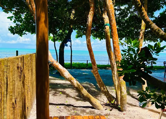 Cumuru pé na areia